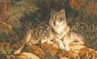 Tapestry "Wolves - Soulmates"